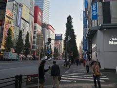 -秋叶原电器街