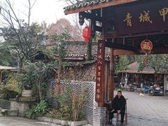 -青城甲(青城山店)