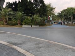 -宝安西湾红树林湿地公园