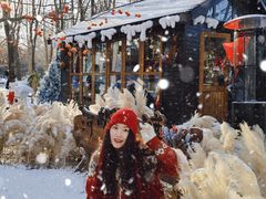 -长白岛森林公园