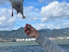 -海埂大坝