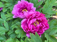 -合肥三国新城遗址公园