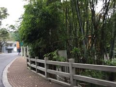 -白云山风景名胜区