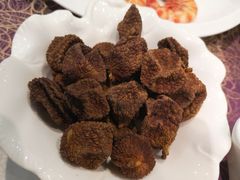 -欢乐海岸美食联盟