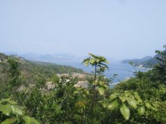 -南丫岛