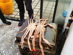 -新农都水产市场