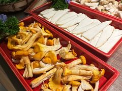 -蘑界·野生菌火锅(深业上城店)