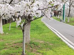 -金银湖国家城市湿地公园