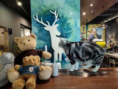 -咖法森林·咖啡  酒吧(天河店)