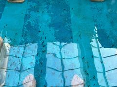 -固安来康郡来康温泉