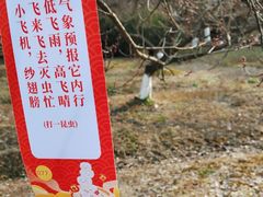-白马涧龙池景区