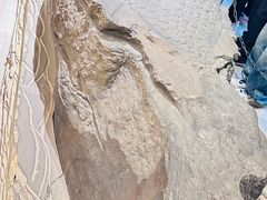 -白鹤梁水下博物馆