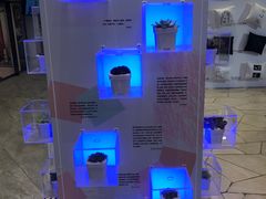 -查特花园美食广场(西单大悦城店)