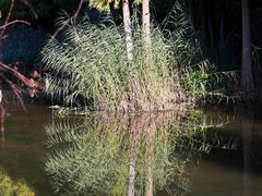-捞渔河湿地公园