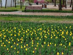 -长春公园(普阳街道)