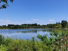 -东郊湿地公园