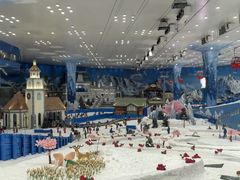 -长沙湘江欢乐雪域