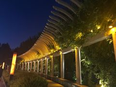 -党河风情线国家水利风景区