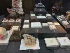 -烟台自然博物馆