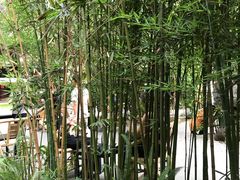 -香园自助小火锅