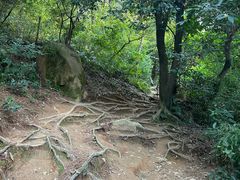 -灵岩山风景区