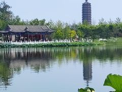 -西海子公园