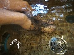 -中家鑫园温泉酒店鑫悦汤泉