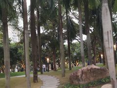 -四海公园(南山区)