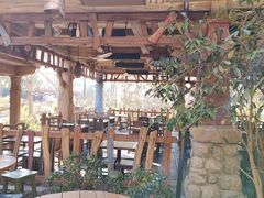 -Tangled Tree Tavern 老藤树食栈