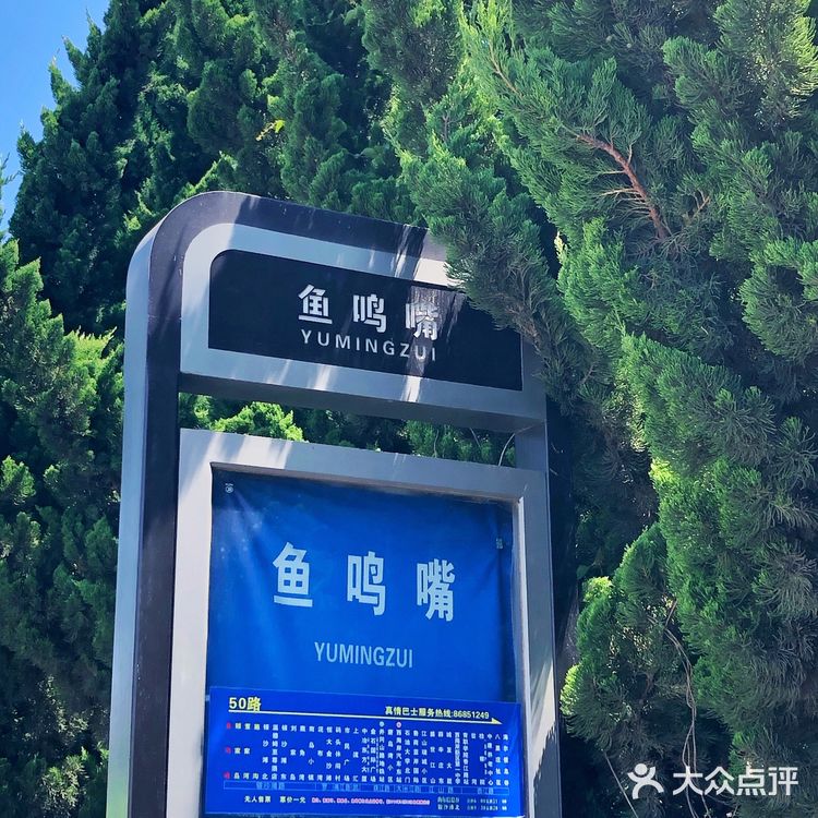 来青岛请收藏🌟｜必玩榜➕小众推荐💎