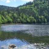 高山、草地、丛林、溪流、湖泊，一次性饱览个够