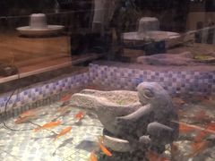 -向阳庄烧烤店(望京西园店)