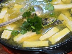 -鑫福楼农家菜