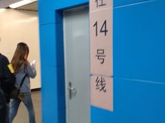 -大望路(地铁站)