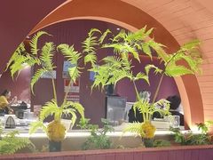 -芸山季·云南野生菌火锅(宝能环球汇店)