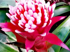 -北京植物园-展览温室