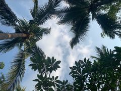 -芭提雅海鲜市场