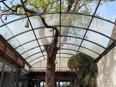 -zarah(鼓楼店)