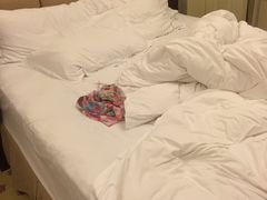 -深圳富苑皇冠假日套房酒店
