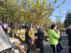 -白水寺森林公园