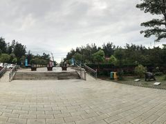 -广东惠东海龟国家级自然保护区