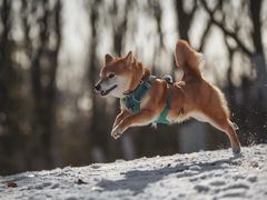 -钟山体育运动公园