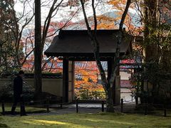 -三千院