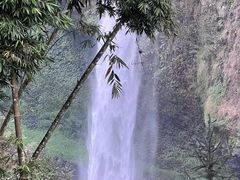 -云南屏边大围山国家公园