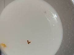 -九毛九西北菜(番禺万达店)