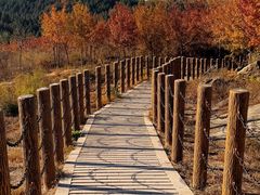-白水寺森林公园