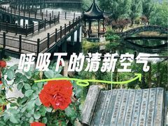 -石塘人家
