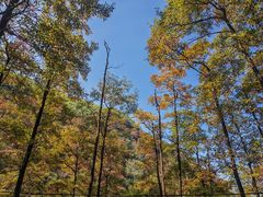 -藏龙百瀑风景区