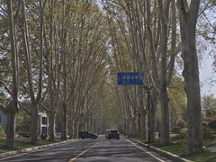 -河南省黄河迎宾馆