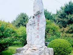 -云岗森林公园